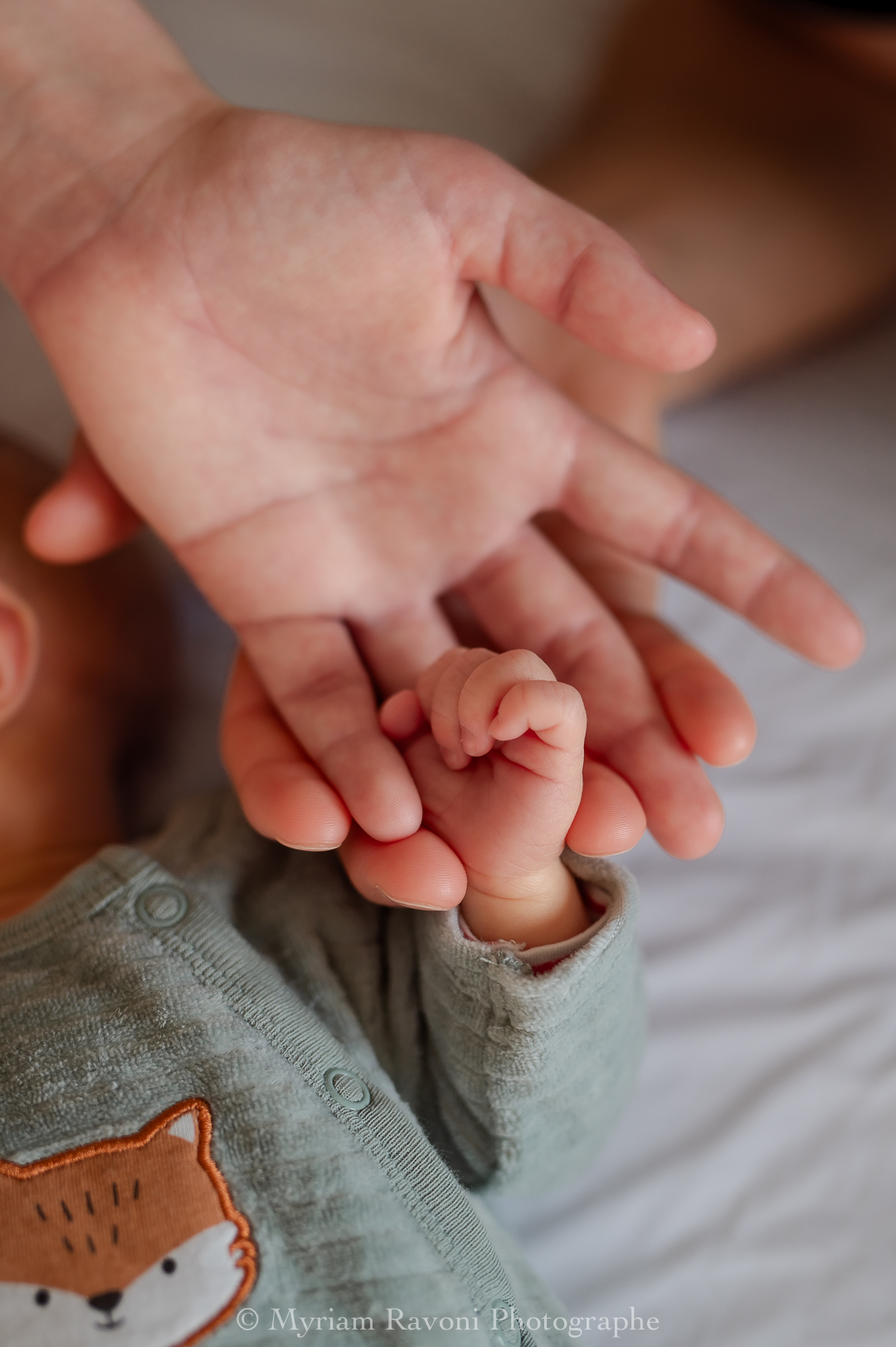 photographe naissance meuse